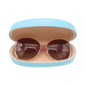 Sunglasses Case 2