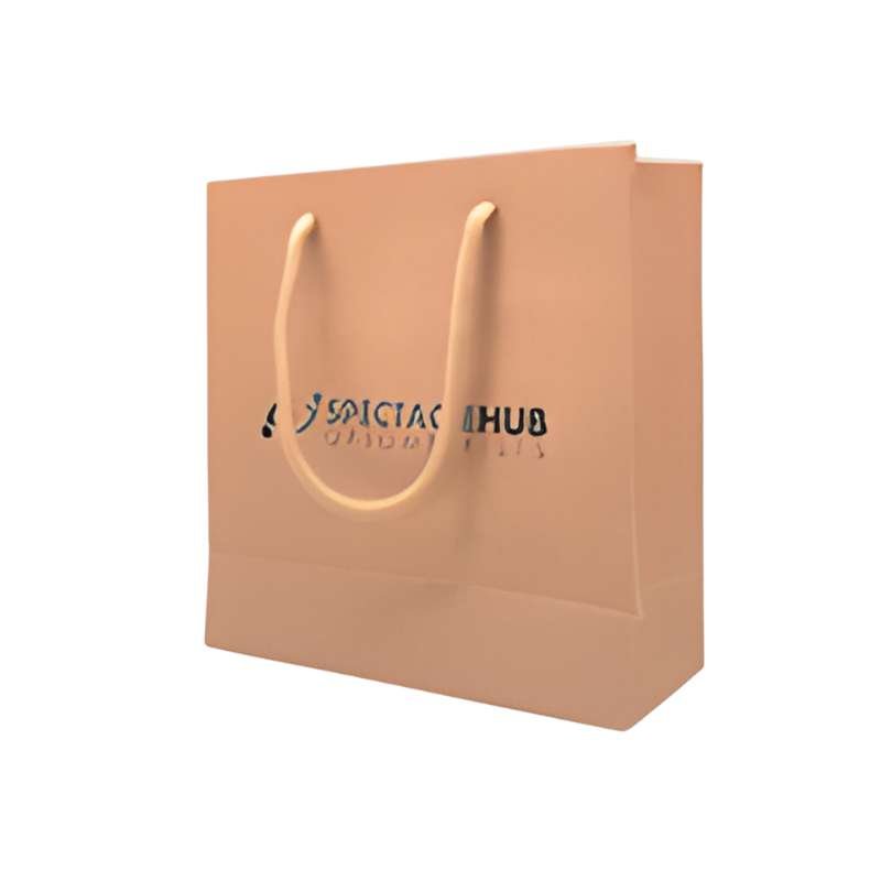 Paper Bag 210*140*270